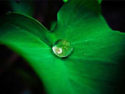 Does it matter which HDMI port you use on your TV? Short answer: Yes