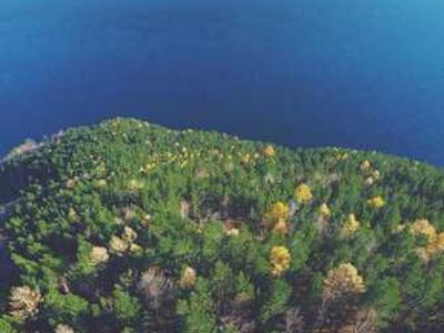 Monocle 3.0 for macOS