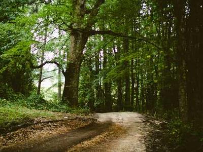 Shop the best early Kindle deals for Black Friday 2025