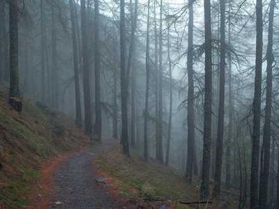 Why complex reasoning models could make misbehaving AI easier to catch