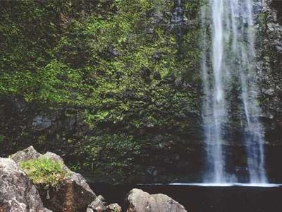 This 75-inch Insignia QLED TV just dropped to less than $500 at Best Buy