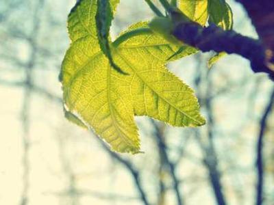 Meet the Forgotten Female Artist Behind the World’s Most Popular Tarot Deck (1909)