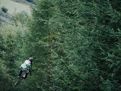 ServiceNow and Nvidia say their new open-source model is built for security - here's why