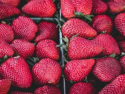 B&H is selling one of my favorite pro monitors for near its all-time low price