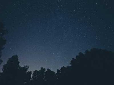 Which AI tools are actually worth paying for? I'm keeping these subscriptions in 2026 - here's why