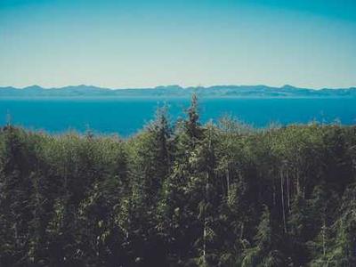 Can't hear TV dialogue? This portable soundbar worked wonders for my audio (at a low price)