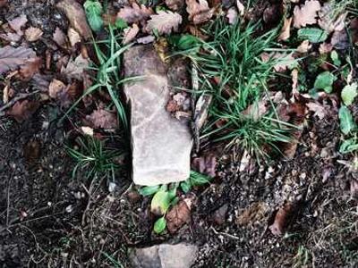 Aldous Huxley to George Orwell: My Hellish Vision of the Future is Better Than Yours (1949)