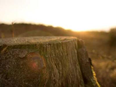 Granary by Speakeasy