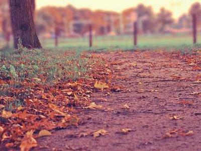 Plus AI Presentation Agent