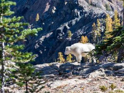 Samsung's 65-inch QLED TV and soundbar bundle is 50% off for Presidents' Day