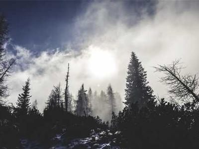 The Untold Story of Bauhaus Women: The Avant-Garde Artists Who Helped Shape Modernism