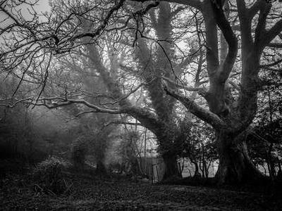 What are passkeys really? The simple explanation - for anyone tired of passwords