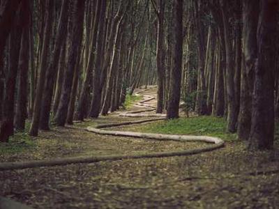 This 85-inch Sony Bravia TV dropped to less than $1,000 at Amazon - and I can vouch for it