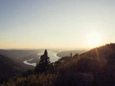 Should you buy $15 cordless screwdrivers from Amazon? I tested one, and here's my advice