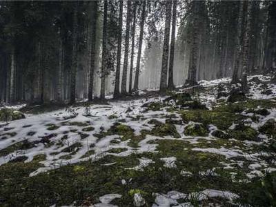 Aldous Huxley to George Orwell: My Hellish Vision of the Future is Better Than Yours (1949)