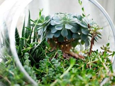 This is the only charging cable you'll ever need to avoid a tangling mess (and it's cheap)