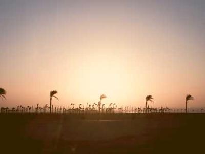 The First American Cookbook: Sample Recipes from American Cookery (1796)