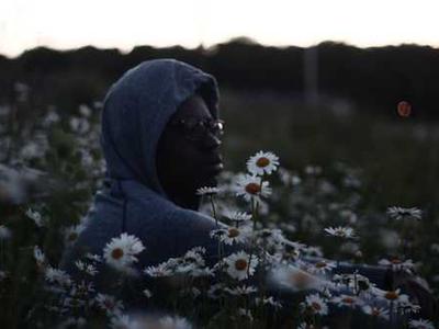 The 135 Movies You Must See to Understand Cinema