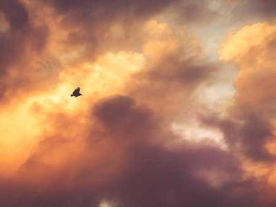 These XR glasses gave me a 200-inch OLED screen to work with