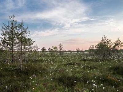 This portable SSD has a magnetic superpower that makes it a must-have for iPhone users