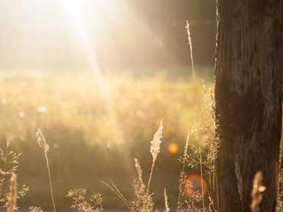 The Surprising Power of Boredom: It Lets You Confront Big Questions & Give Life Meaning