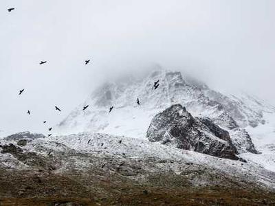 How This Skyscraper Ruined Paris, and Why They’re Now Trying to Make It Invisible