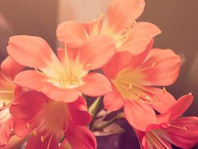 LG has discounted its Gram Pro laptop by $500 for a limited time (and you get a free monitor too)