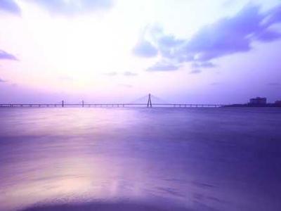 Turn AI chaos into a career opportunity by preparing for these 4 scenarios