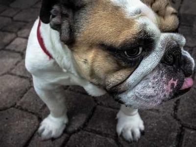 Forget OLED: I'd choose this TCL Mini LED TV deal over pricier models