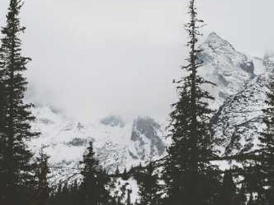 LG has discounted its Gram Pro laptop by $500 for a limited time (and you get a free monitor too)