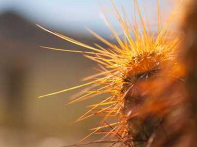 The 100 Greatest Novels of All Time, According to 750,000 Readers in the UK (2003)