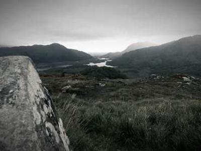 This 75-inch Insignia QLED TV just dropped to less than $500 at Best Buy