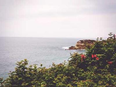 I tested a $5 phone fix dongle that made bold promises - here's the truth