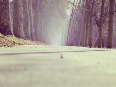 This Linux distro makes your old laptop feel like a Mac - and it's free