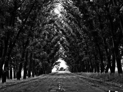 Sick of your slides? Let Gemini make them - here's how