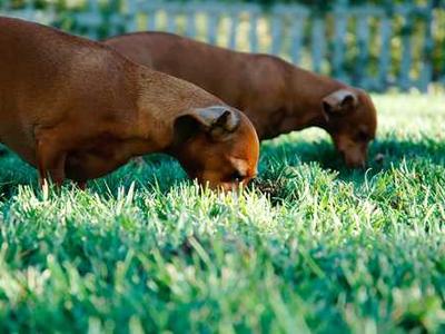 9 essential iPadOS 26 features that convinced me to put my MacBook away for good