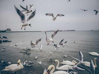 The Segway Max G2 electric scooter is 50% off during this Presidents' Day deal