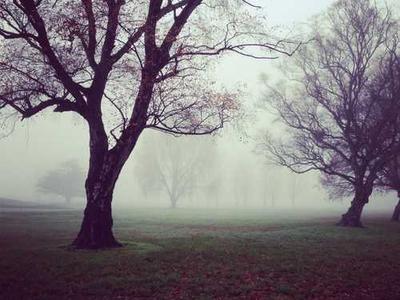 Turn AI chaos into a career opportunity by preparing for these 4 scenarios