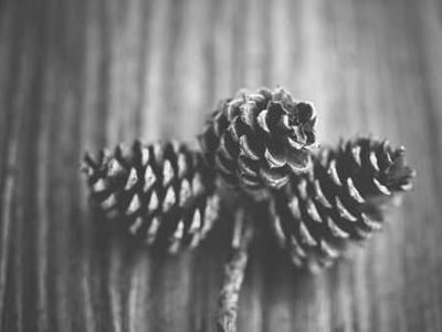 Peek-a-Doodle for iOS & iPadOS