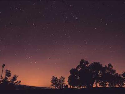 Turn AI chaos into a career opportunity by preparing for these 4 scenarios