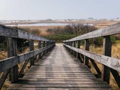 Frank Gehry Designed His Own Home, and What It Teaches About Creative Risk