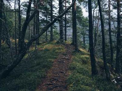 I left Google Maps behind for a free alternative that doesn't track me (or drain my phone battery)