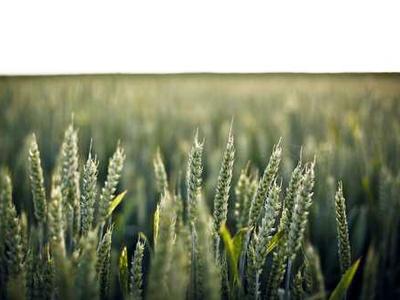 My iPhone alarm kept failing me - here are the 6 fixes that actually worked