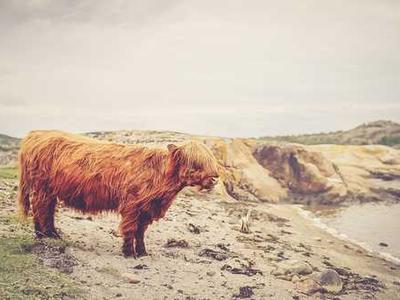 TSA's plea: Don't make these airport Wi-Fi and public charging mistakes this holiday