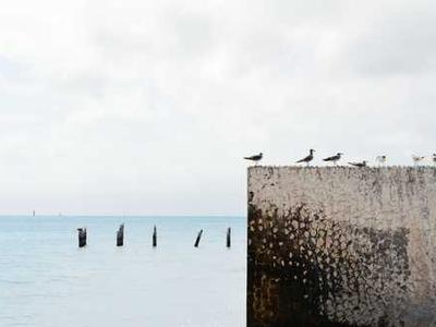 How to clear your TV cache (and wipe out lag for good)