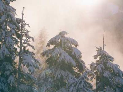 The First Electric Guitar: Behold the 1931 “Frying Pan”