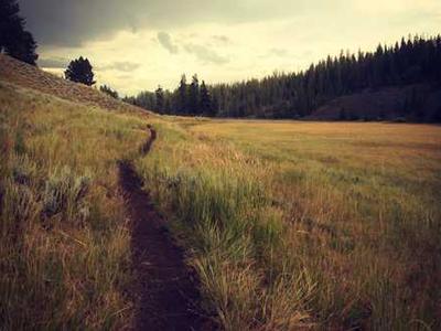 I lived with the Echo Show 11 for weeks - and loved it (until I looked closer)