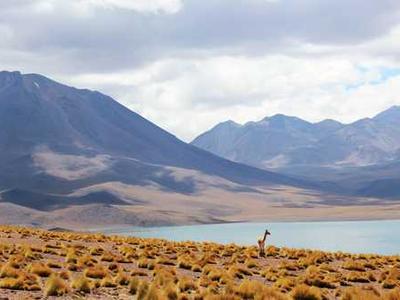 The Rohonc Codex: Hungary’s Mysterious Manuscript That No One Can Read