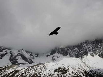 This Linux distro makes your old laptop feel like a Mac - and it's free