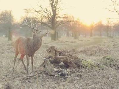 I changed 10+ settings on my iPhone to significantly extend its battery life (iOS 26 and older)